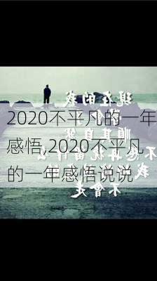 2020不平凡的一年感悟,2020不平凡的一年感悟说说-第1张图片-星梦范文网