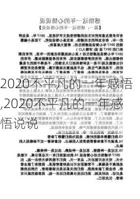 2020不平凡的一年感悟,2020不平凡的一年感悟说说-第3张图片-星梦范文网