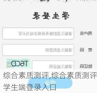 综合素质测评,综合素质测评学生端登录入口