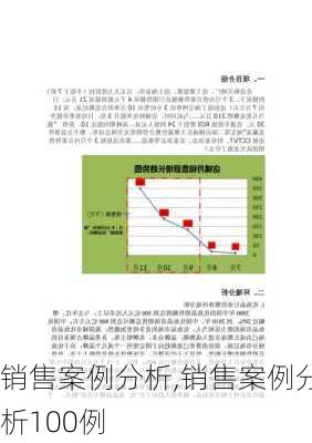 销售案例分析,销售案例分析100例-第2张图片-星梦范文网