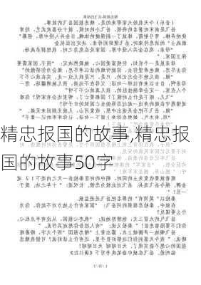 精忠报国的故事,精忠报国的故事50字-第2张图片-星梦范文网