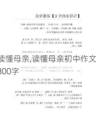 读懂母亲,读懂母亲初中作文800字-第3张图片-星梦范文网