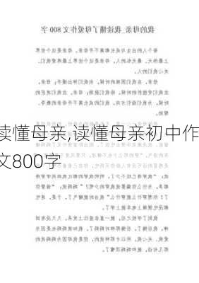 读懂母亲,读懂母亲初中作文800字-第2张图片-星梦范文网