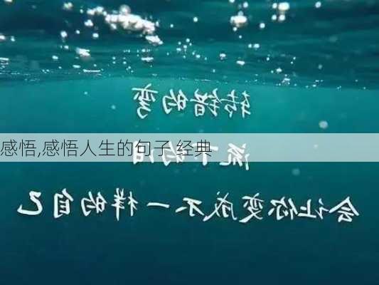 感悟,感悟人生的句子 经典-第2张图片-星梦范文网