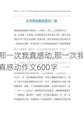 那一次我真感动,那一次我真感动作文600字