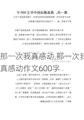 那一次我真感动,那一次我真感动作文600字-第3张图片-星梦范文网