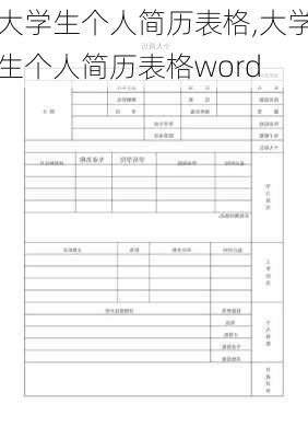 大学生个人简历表格,大学生个人简历表格word