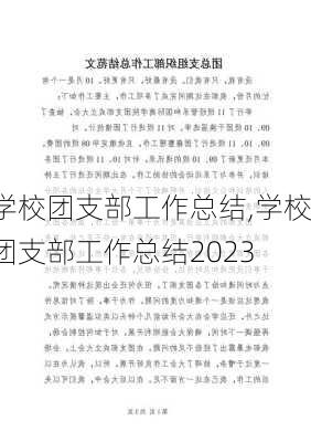 学校团支部工作总结,学校团支部工作总结2023-第1张图片-星梦范文网