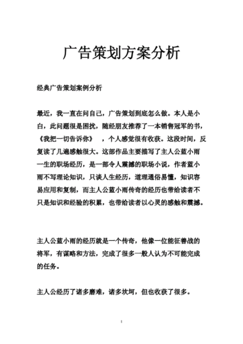 广告策划案例分析,广告策划案例分析怎么写-第3张图片-星梦范文网