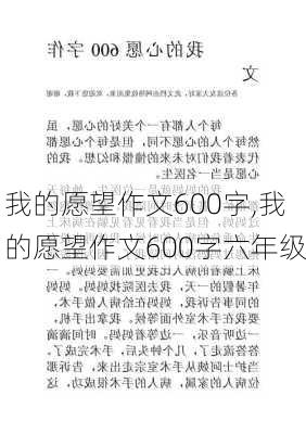 我的愿望作文600字,我的愿望作文600字六年级-第1张图片-星梦范文网