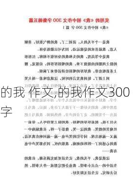 的我 作文,的我作文300字