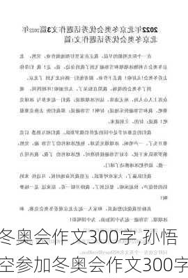 冬奥会作文300字,孙悟空参加冬奥会作文300字