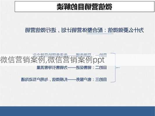 微信营销案例,微信营销案例ppt-第3张图片-星梦范文网