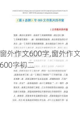 窗外作文600字,窗外作文600字初二