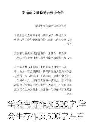 学会生存作文500字,学会生存作文500字左右-第2张图片-星梦范文网