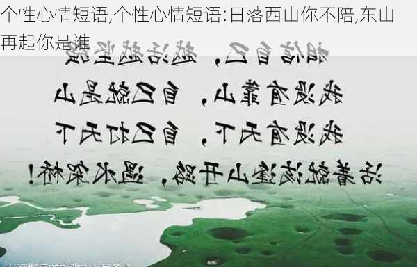 个性心情短语,个性心情短语:日落西山你不陪,东山再起你是谁-第3张图片-星梦范文网