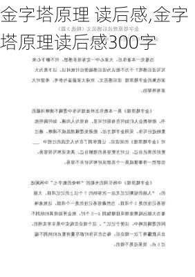 金字塔原理 读后感,金字塔原理读后感300字-第2张图片-星梦范文网