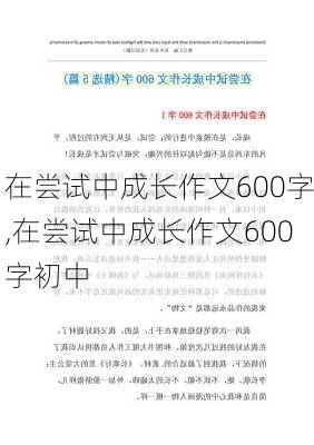 在尝试中成长作文600字,在尝试中成长作文600字初中