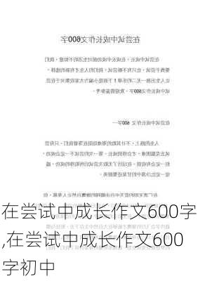 在尝试中成长作文600字,在尝试中成长作文600字初中-第2张图片-星梦范文网