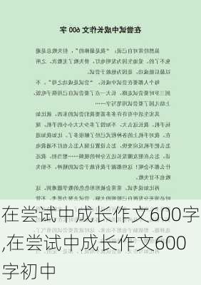 在尝试中成长作文600字,在尝试中成长作文600字初中-第3张图片-星梦范文网