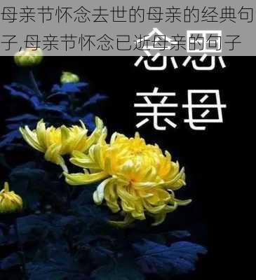 母亲节怀念去世的母亲的经典句子,母亲节怀念已逝母亲的句子-第2张图片-星梦范文网