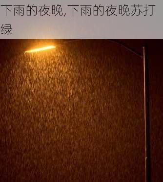 下雨的夜晚,下雨的夜晚苏打绿-第3张图片-星梦范文网