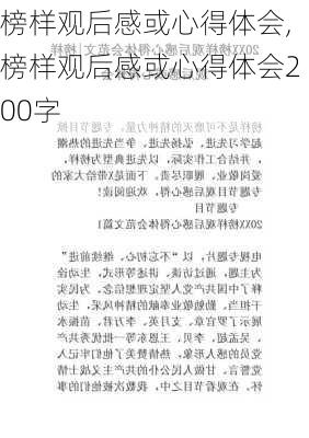 榜样观后感或心得体会,榜样观后感或心得体会200字-第3张图片-星梦范文网