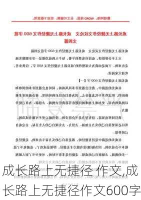 成长路上无捷径 作文,成长路上无捷径作文600字-第2张图片-星梦范文网