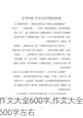 作文大全600字,作文大全600字左右