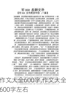 作文大全600字,作文大全600字左右-第2张图片-星梦范文网