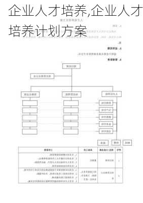 企业人才培养,企业人才培养计划方案