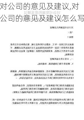 对公司的意见及建议,对公司的意见及建议怎么写-第1张图片-星梦范文网