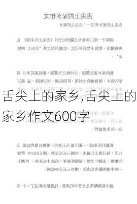 舌尖上的家乡,舌尖上的家乡作文600字