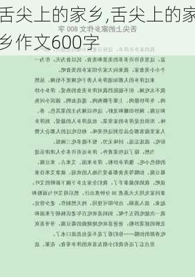 舌尖上的家乡,舌尖上的家乡作文600字-第2张图片-星梦范文网