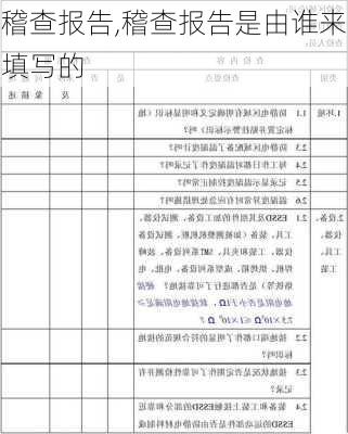 稽查报告,稽查报告是由谁来填写的-第3张图片-星梦范文网