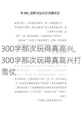 300字那次玩得真高兴,300字那次玩得真高兴打雪仗-第3张图片-星梦范文网