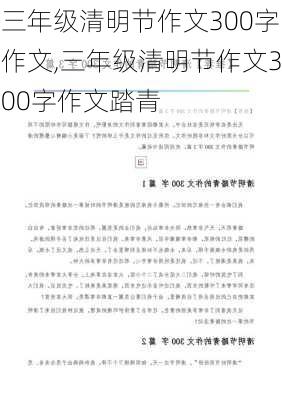 三年级清明节作文300字作文,三年级清明节作文300字作文踏青-第2张图片-星梦范文网