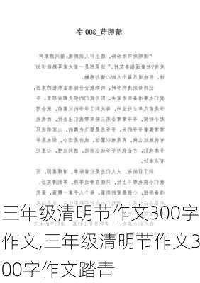 三年级清明节作文300字作文,三年级清明节作文300字作文踏青