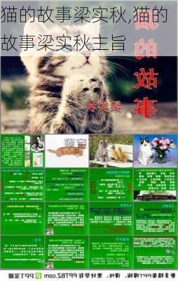 猫的故事梁实秋,猫的故事梁实秋主旨-第3张图片-星梦范文网