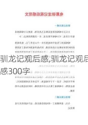 驯龙记观后感,驯龙记观后感300字-第1张图片-星梦范文网