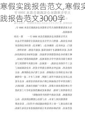 寒假实践报告范文,寒假实践报告范文3000字-第1张图片-星梦范文网