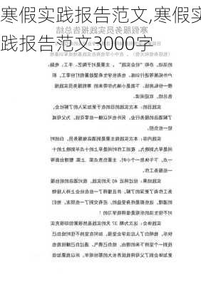 寒假实践报告范文,寒假实践报告范文3000字-第2张图片-星梦范文网