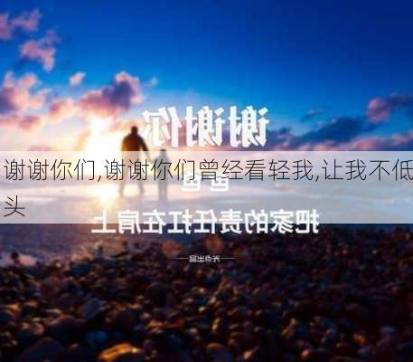 谢谢你们,谢谢你们曾经看轻我,让我不低头