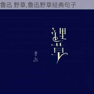 鲁迅 野草,鲁迅野草经典句子-第1张图片-星梦范文网