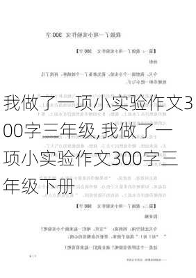 我做了一项小实验作文300字三年级,我做了一项小实验作文300字三年级下册