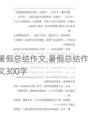 暑假总结作文,暑假总结作文300字-第3张图片-星梦范文网