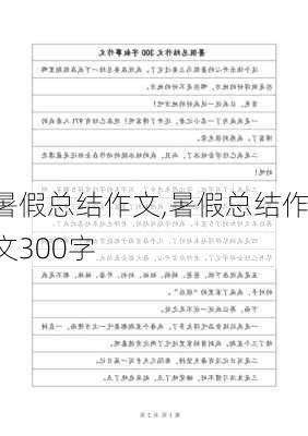 暑假总结作文,暑假总结作文300字-第2张图片-星梦范文网