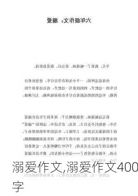 溺爱作文,溺爱作文400字