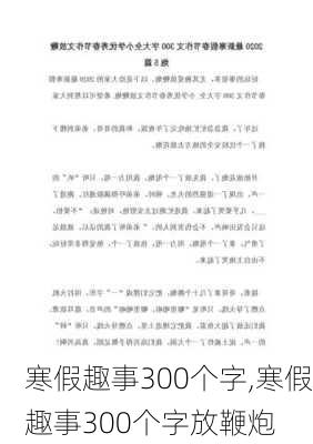 寒假趣事300个字,寒假趣事300个字放鞭炮-第3张图片-星梦范文网