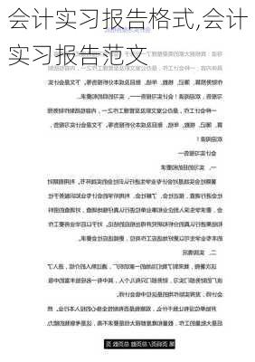 会计实习报告格式,会计实习报告范文-第2张图片-星梦范文网